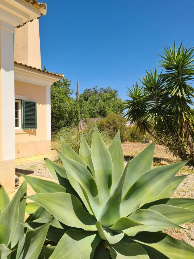 Casa Dos Ventos Bed & Breakfast Olhao Exterior photo